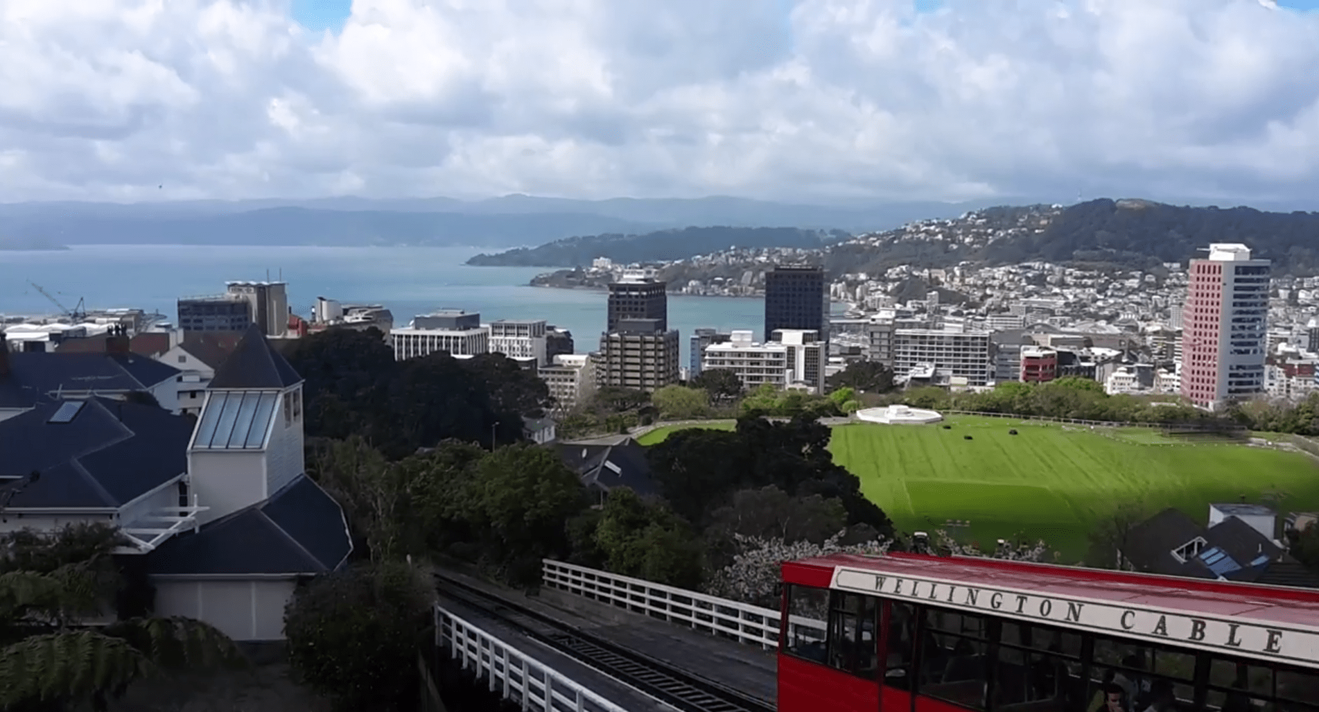 wellington Going NZ
