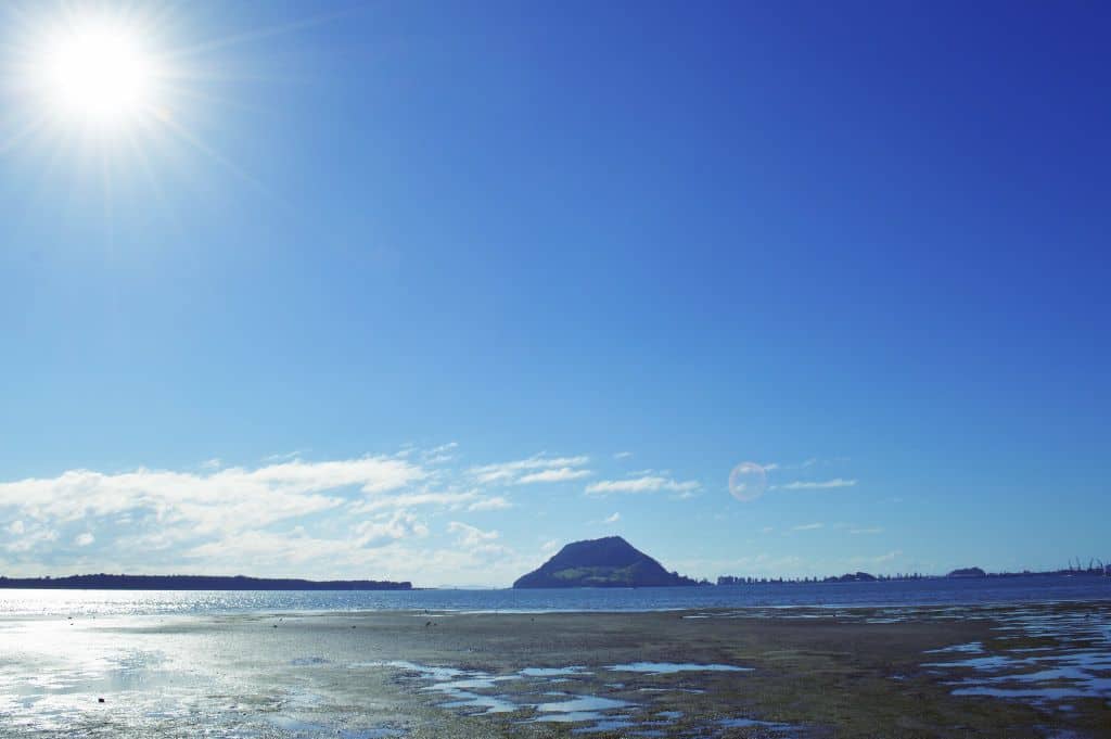 Our Favourite Spots of Tauranga and Mount Maunganui