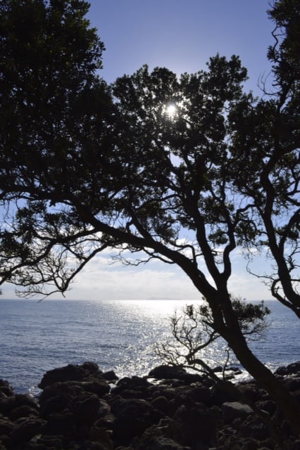 Hidden Coves on The Mount