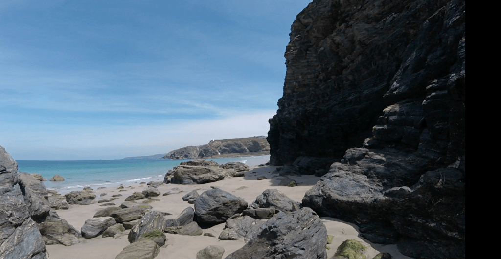 expat going nz