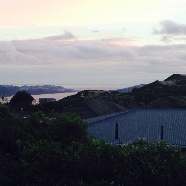 goingnz