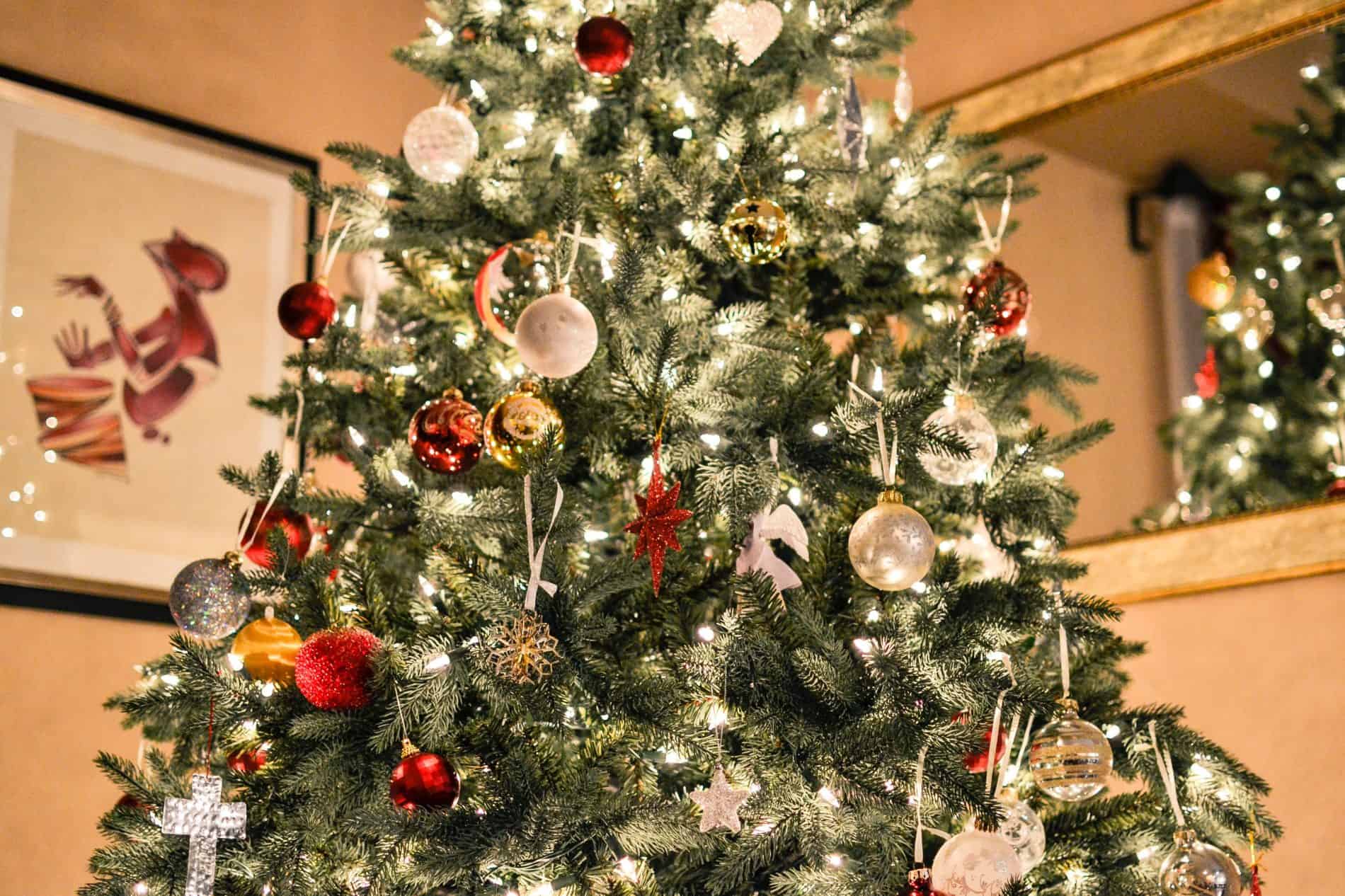 Your First Kiwi Christmas and the Upside-Down Year