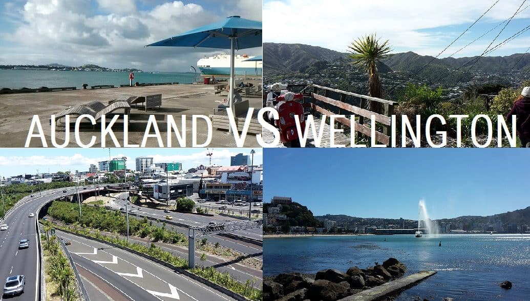 Wellington vs Auckland: Which Should You Live In?