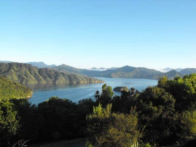 picton going nz
