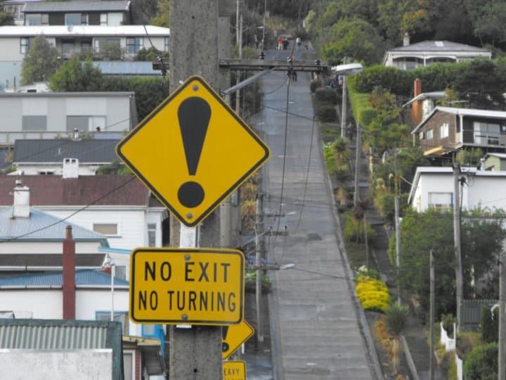 dunedin goingnz