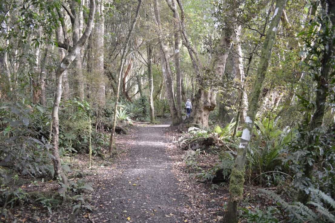 The Catlins coastline is rugged, and some of the roads and tracks are unsealed
